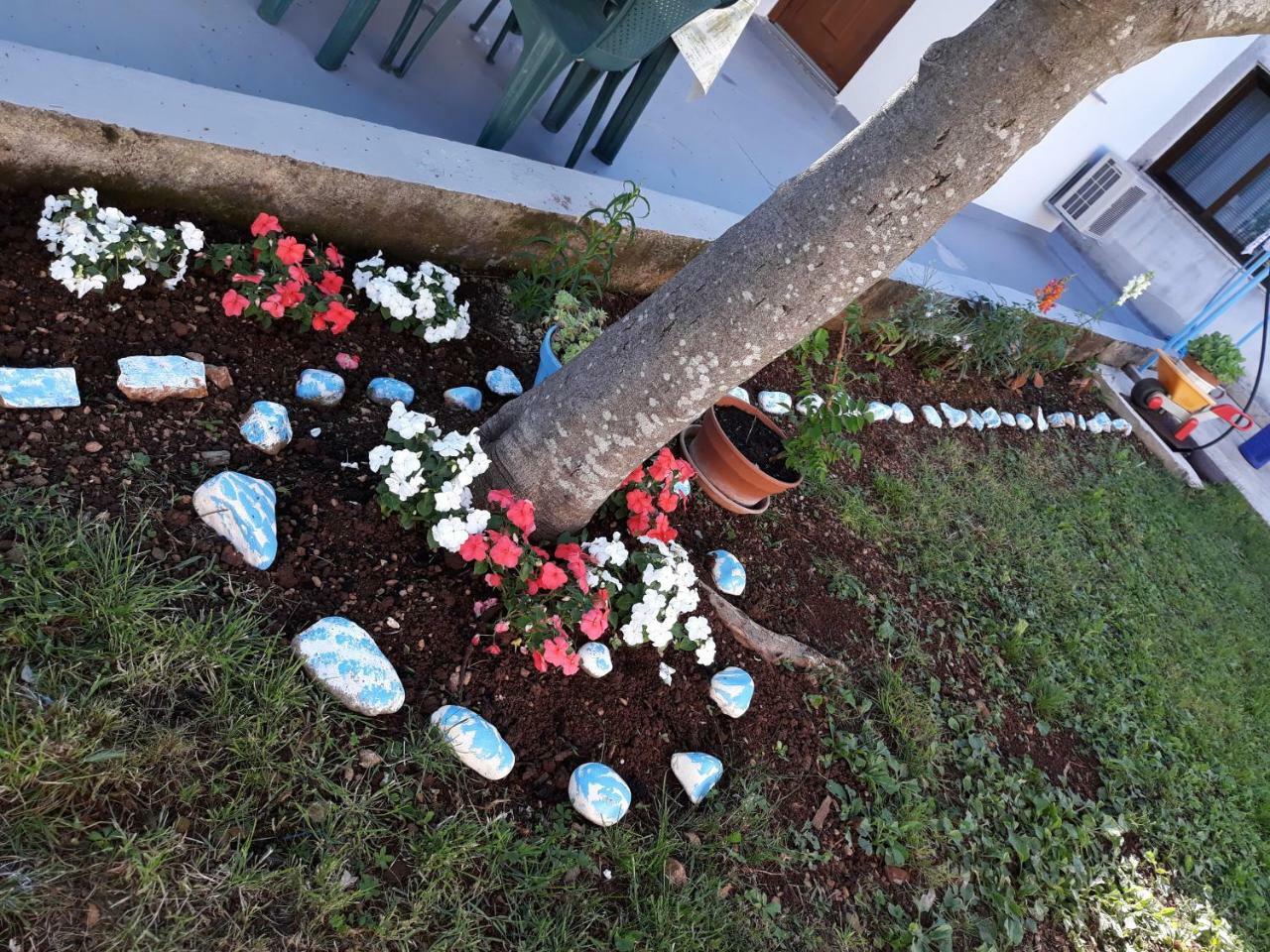 Amalia Apartment Umag Exterior photo